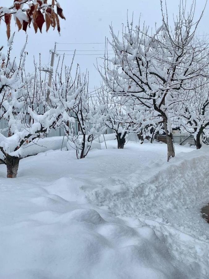 Гостевой Дом Chimgan Apple Garden Eksteriør billede